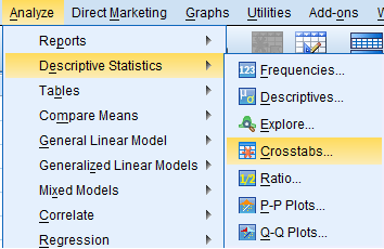 SPSS Screenshot