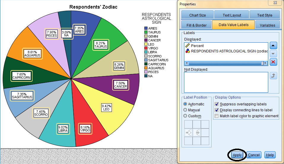 SPSS Screenshot