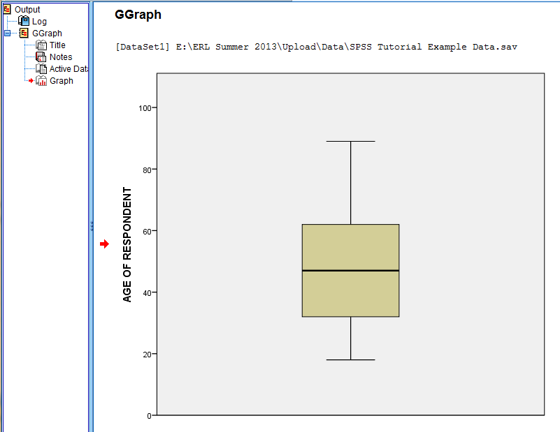 SPSS Screenshot