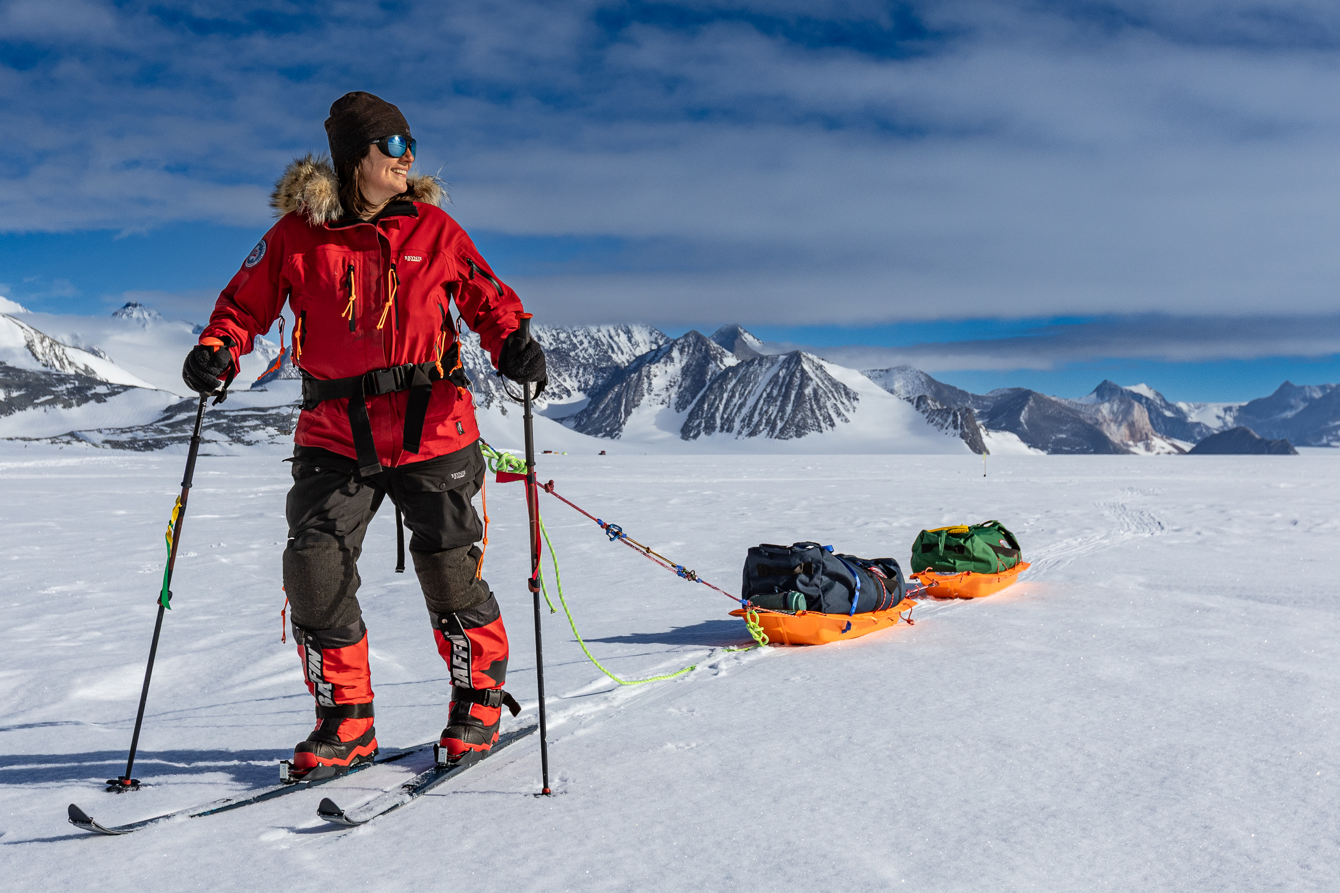 Monet pulling two sleds.