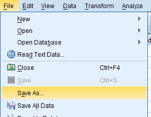 SPSS screenshot