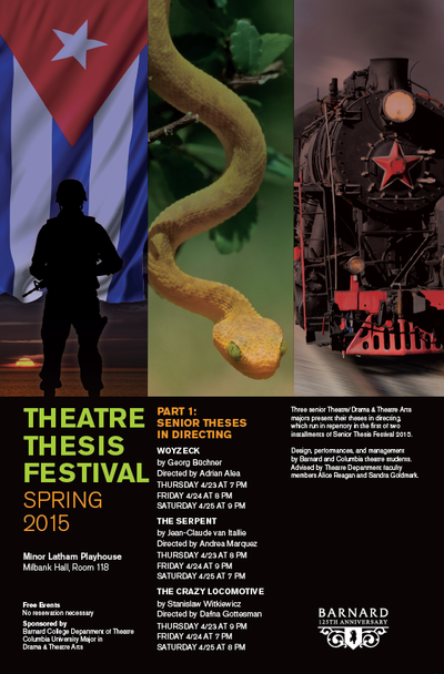 Senior Thesis 2015 poster