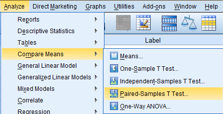 SPSS Screenshot