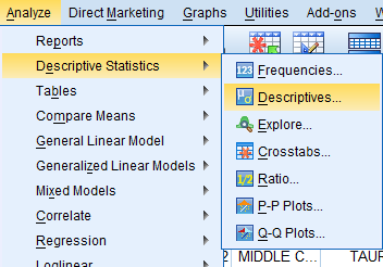 SPSS Screenshot