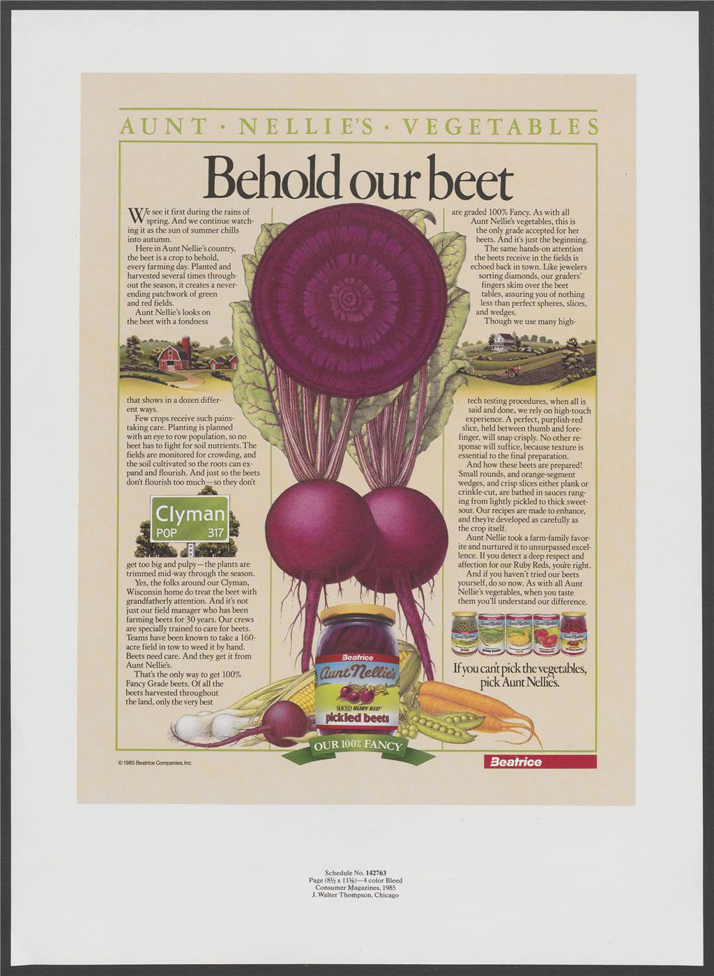 "Behold our beet". Artwork showing cross-section of a beetroot with smaller images of jars and cans of vegetables. Text mentions the process of growing, farming, harvesting and selecting the vegetables. Discussion of quality assurance and an assurance of difference in taste.