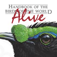 handbook of the birds of the world alive.