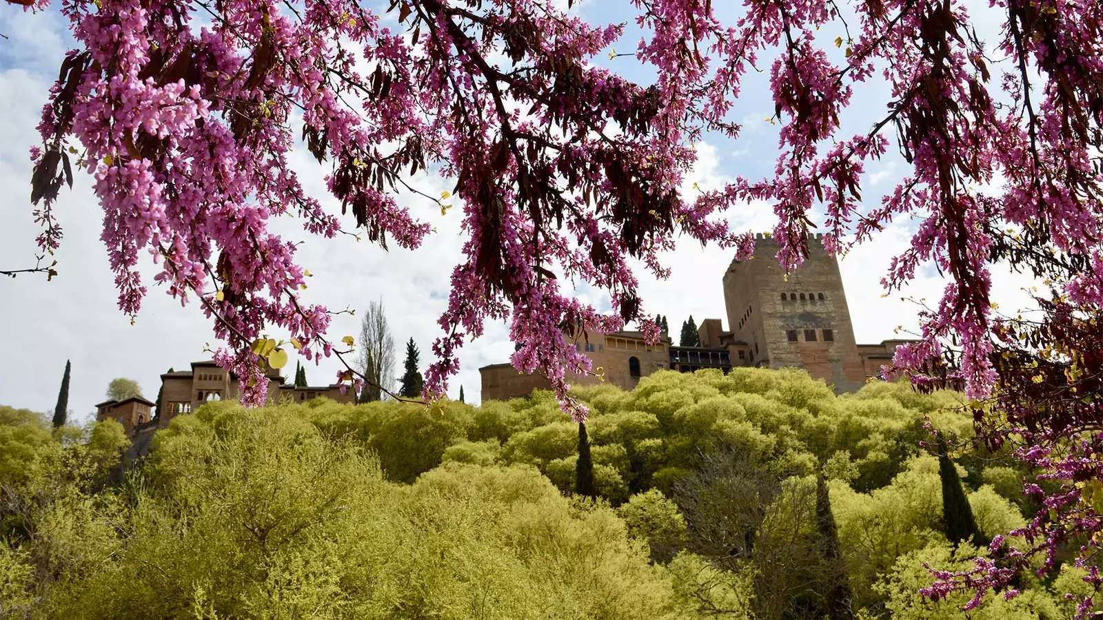 la alhambra Spain