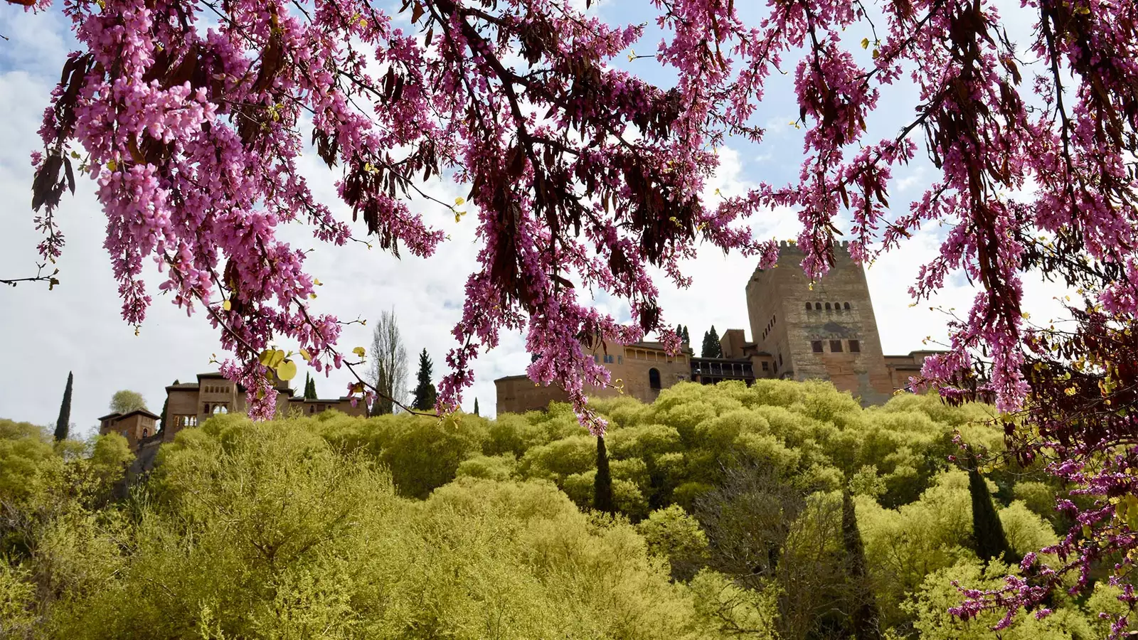 la alhambra Spain