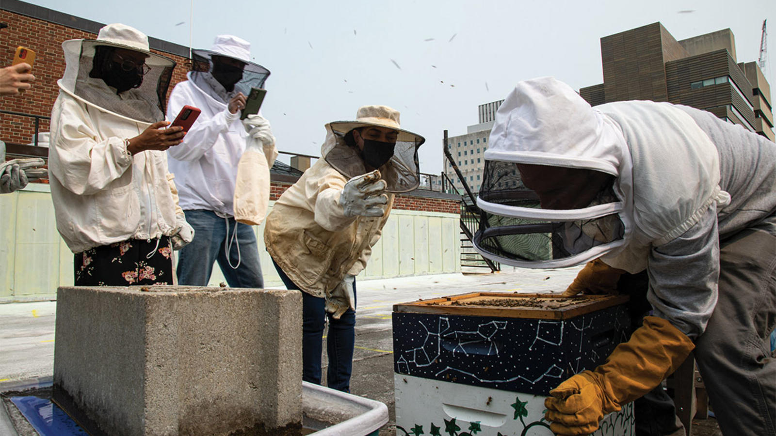 Bee keepers tending to bees