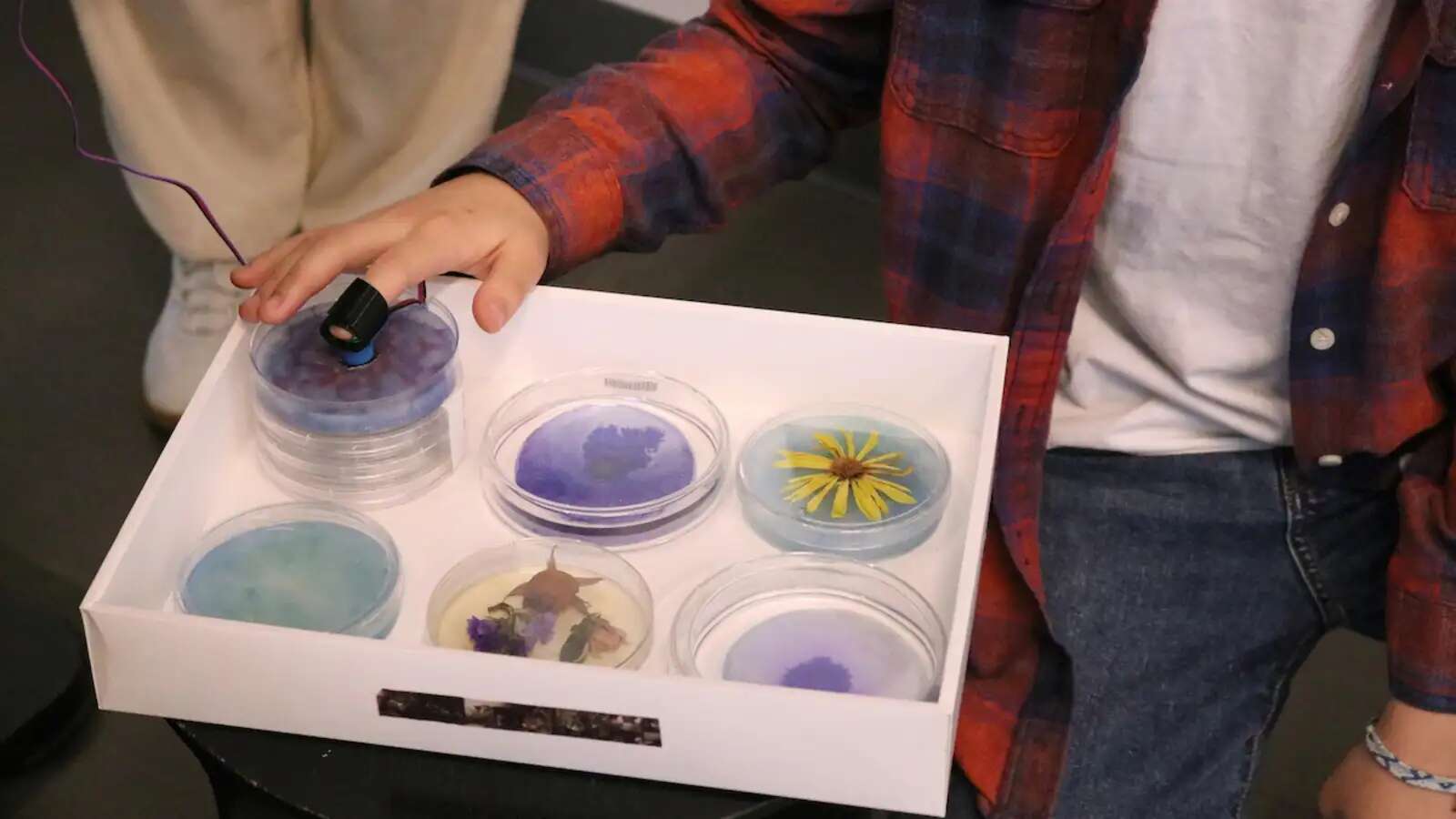 Viz Wall Showcase 2023