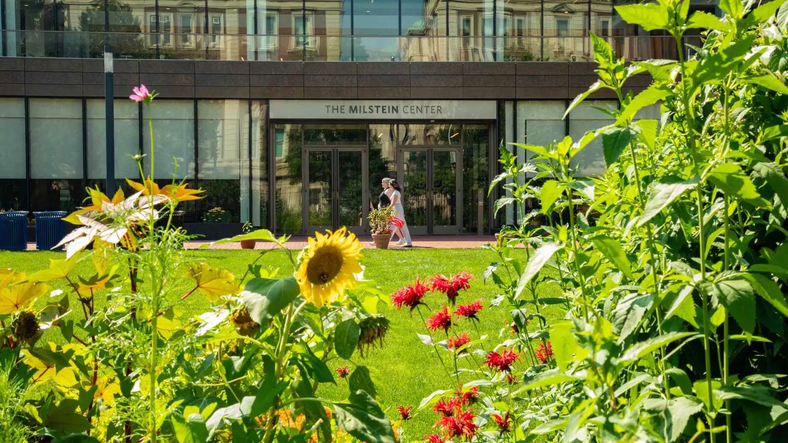 Image of Barnard campus in summer with blooming flowers