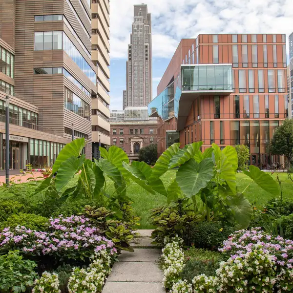 the view of campus from the south side of futter field. There are various flowers centered by an elephant ear plant