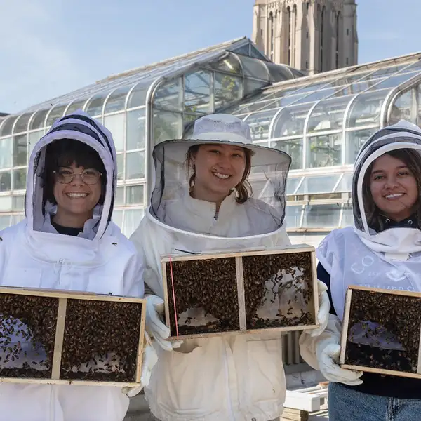 Students with Bees
