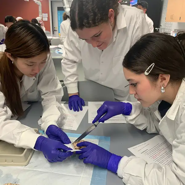 Students in a lab.