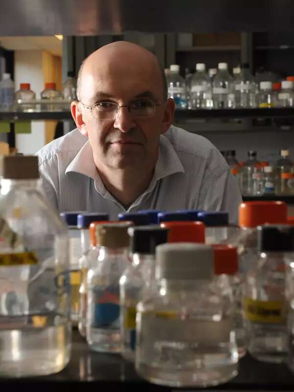 Stephen Sturley