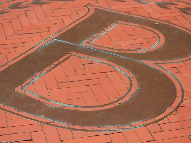 barnard b on ground
