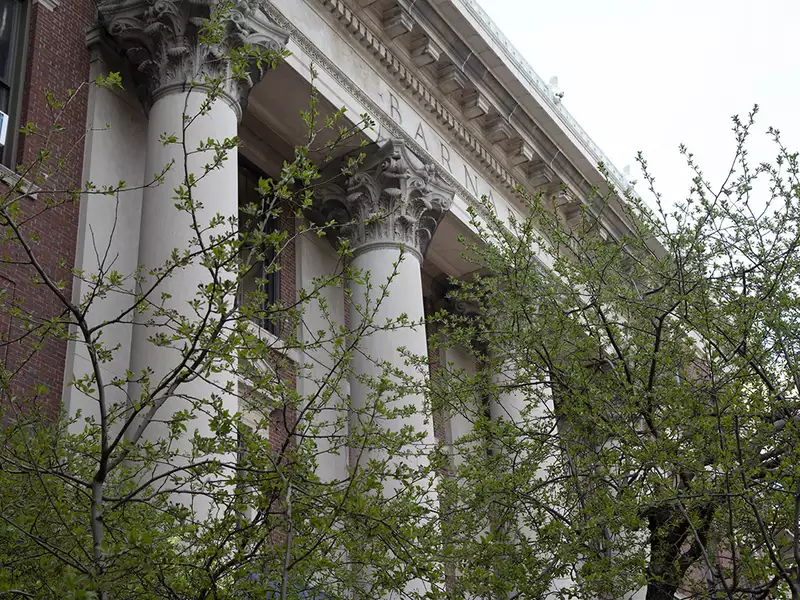 Photograph of the Trees in Front of Barnard Hall