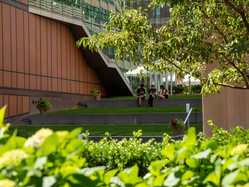 Students sit on campus in summer