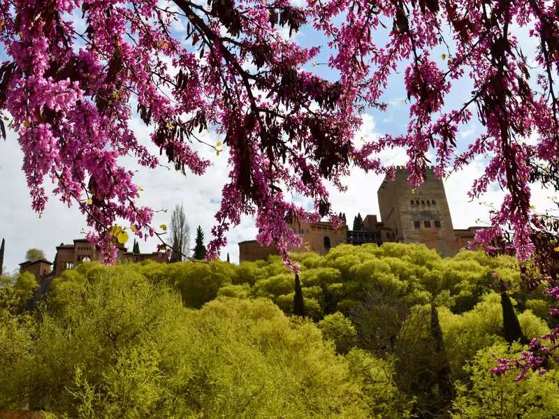 La Alhambra, Spain--old stone buildings on a green hilltop 