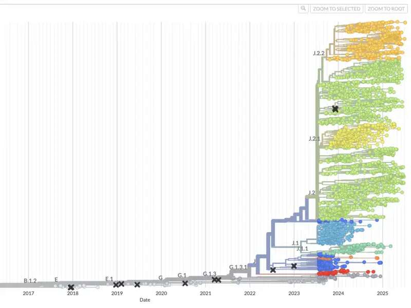 Influenza lineages