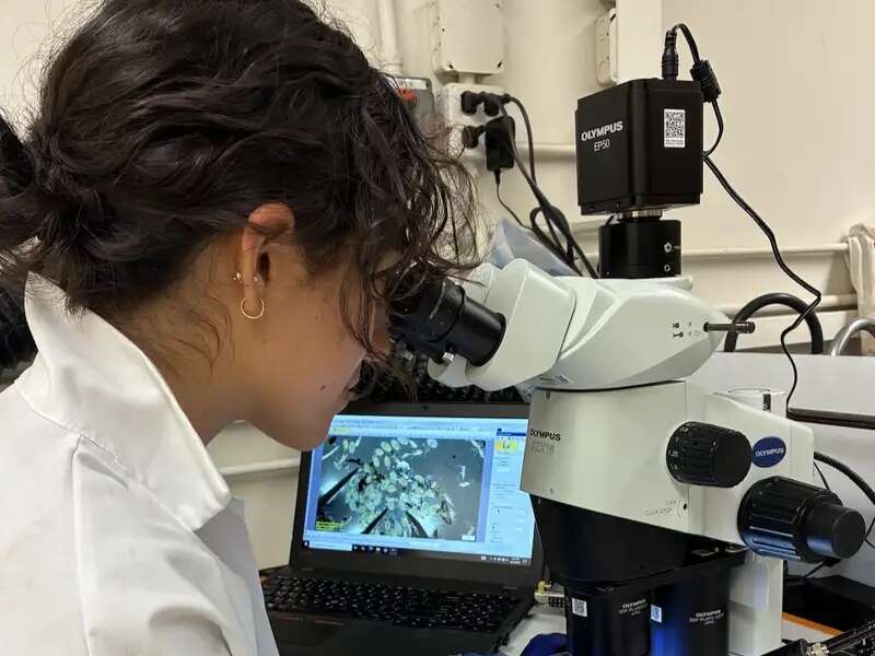 Nichole Ruiz peers into a microscope