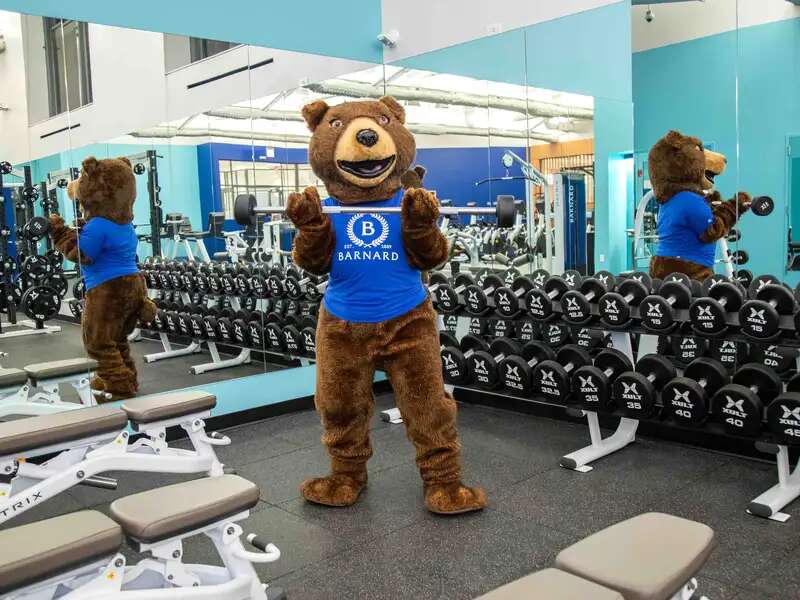 Millie the Bear lifting weights in the Barnard Fitness Center