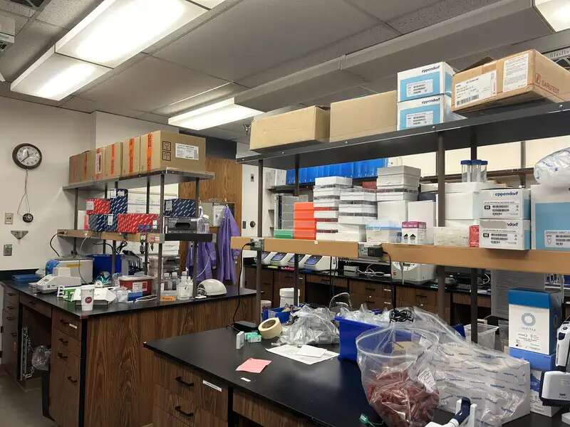 eva's summer lab