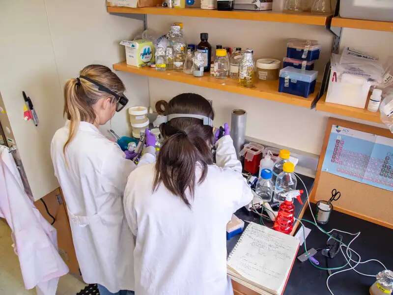 Summer students performing research at Barnard.