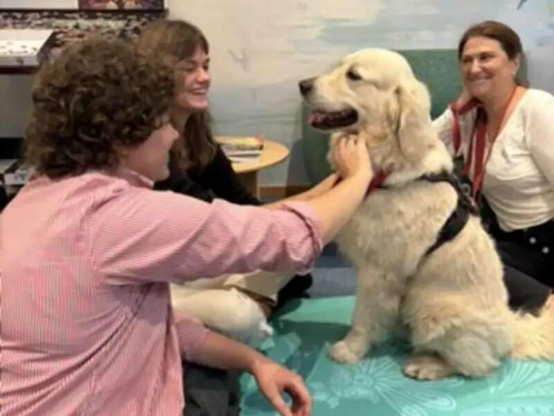 Students petting therapy dog during visit to the mental well-being suite.