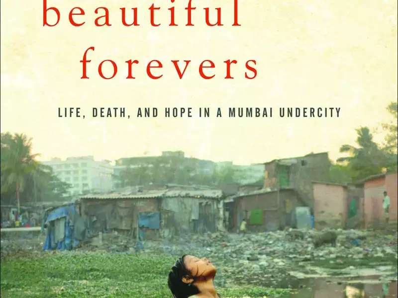 Behind The Beautiful Forevers   Cover.jpg