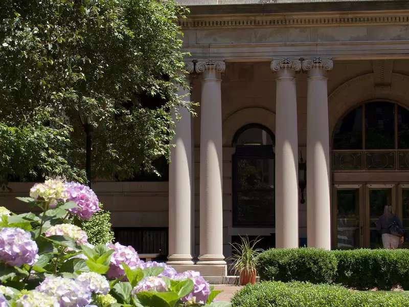 Milbank Hydrangea.jpg