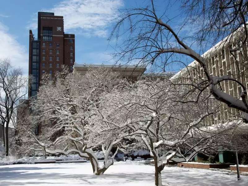 Snowy Day At Barnard.png