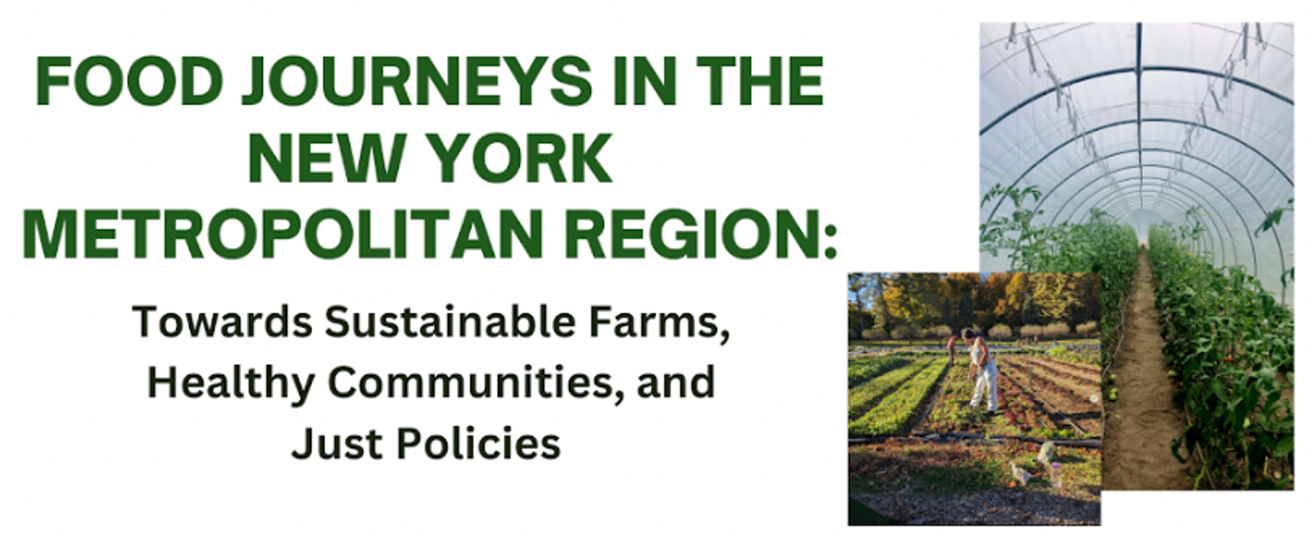 Summer Session Barnard College