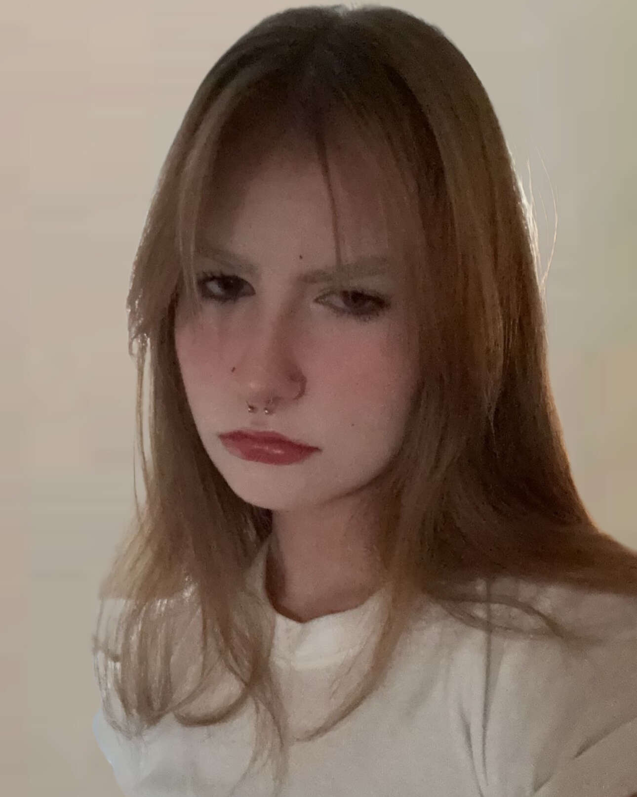 slide.entity.field_image.0.entity.field_media_image.0.entity.alt